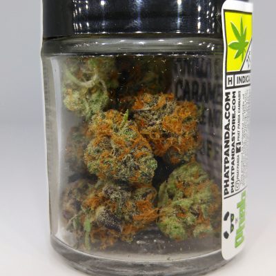 Buy Xena strain Online in the uk and Where to Buy Xena strain Online